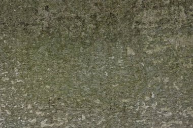 gri grunge duvar, soyut arkaplan gri duvar boş