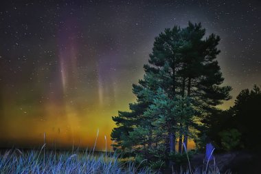 Yaz manzarası aurora borealis, gökyüzünün parlaklığı, soyut gece doğası