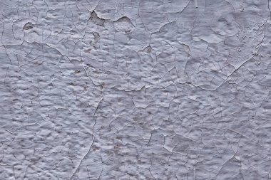 gri grunge duvar, soyut arkaplan gri duvar boş