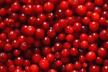 yaban mersinleri kırmızı meyveler taze kuzey vitaminleri soyut arka plan