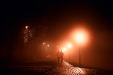 Park manzarasında gece, sokağın soyut görüntüsü, sonbaharda ağaçlar ve ışıklar bulanık arkaplan