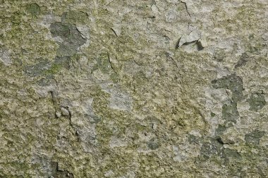 Kahverengi sıva duvar, boş grunge vintage yüzey tasarımı