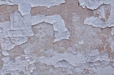 gri grunge duvar, soyut arkaplan gri duvar boş