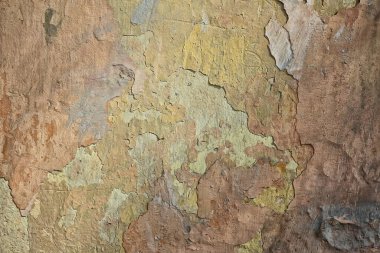 Kahverengi sıva duvar, boş grunge vintage yüzey tasarımı