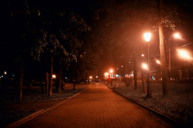 Park manzarasında gece, sokağın soyut görüntüsü, sonbaharda ağaçlar ve ışıklar bulanık arkaplan