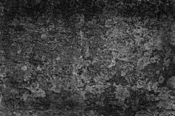 Abstracto Negro Fondo Blanco Hormigón Pared Grunge Estuco Agrietado Textura —  Fotos de Stock