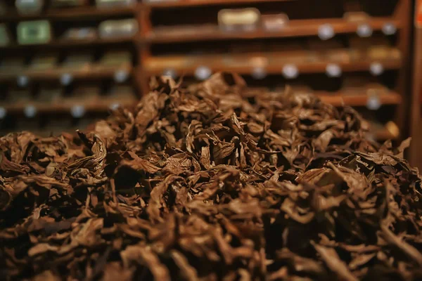 Achtergrond Textuur Tabaksbladeren Droog Gele Bladeren Roken Productie Van Sigaren — Stockfoto