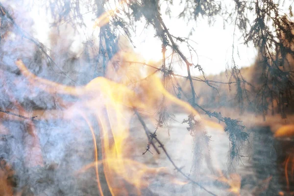 Abstracta Llama Fuego Paisaje Bosque Fondo Incendios Forestales Desastre Ecológico — Foto de Stock