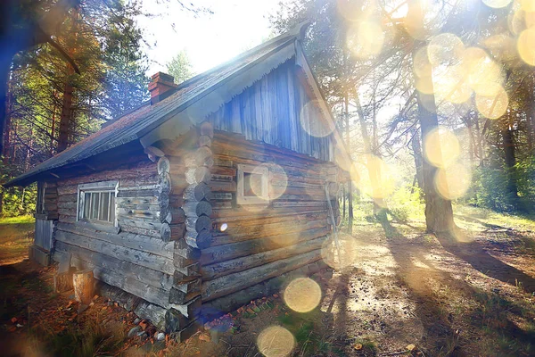 Landskap Sommar Skog Bländning Sol Bokeh Suddig Bakgrund Abstrakt Bild — Stockfoto