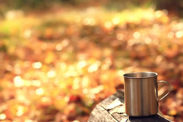 Iron Mug Hot Tea Camping Trip Active Lifestyle Autumn Yellow — Stock Photo, Image