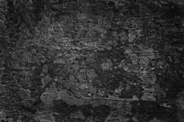 Mur Grunge Stuc Gris Fond Abstrait Mur Gris Blanc — Photo