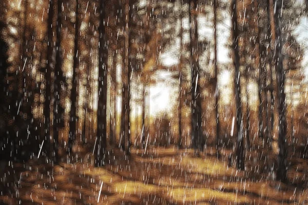 Paysage Automne Pluie Gouttes Éclaboussures Dans Fond Forêt Octobre Météo — Photo