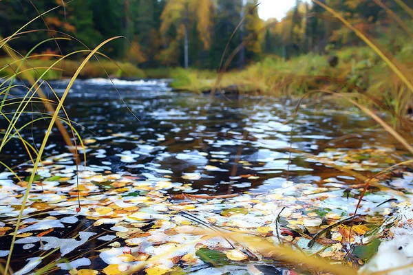 Río Otoño Bosque Paisaje Vista Abstracta Árboles Orillas Pequeño Río — Foto de Stock