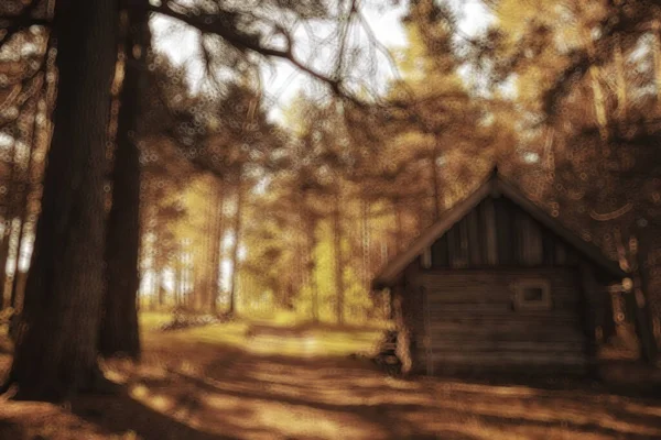 Landskap Sommar Skog Bländning Sol Bokeh Suddig Bakgrund Abstrakt Bild — Stockfoto