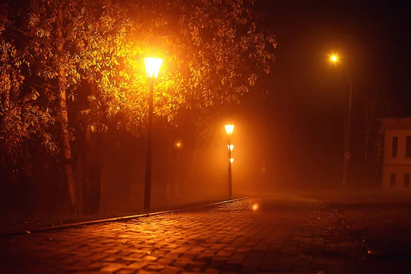 Park manzarasında gece, sokağın soyut görüntüsü, sonbaharda ağaçlar ve ışıklar bulanık arkaplan