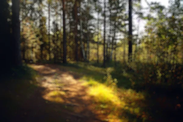 Landschaft Sommer Wald Blendung Sonne Bokeh Verschwommenen Hintergrund Abstrakte Ansicht — Stockfoto