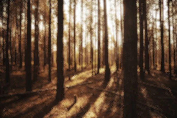 Manzara Yaz Ormanı Parlıyor Güneş Batıyor Arka Plan Bulanıklaşıyor Ağaçlar — Stok fotoğraf