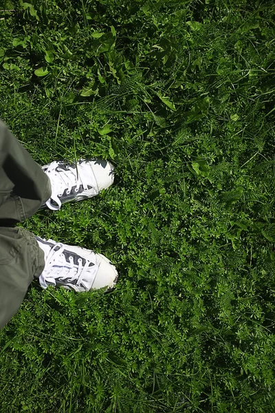 Estilo Vida Activo Piernas Gimnasio Zapatos Verde Hierba Fondo Verano —  Fotos de Stock