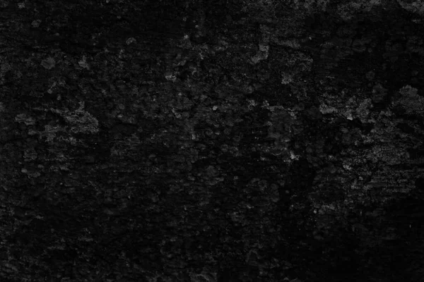 Abstrait Noir Fond Blanc Mur Béton Grunge Stuc Texture Fissurée — Photo