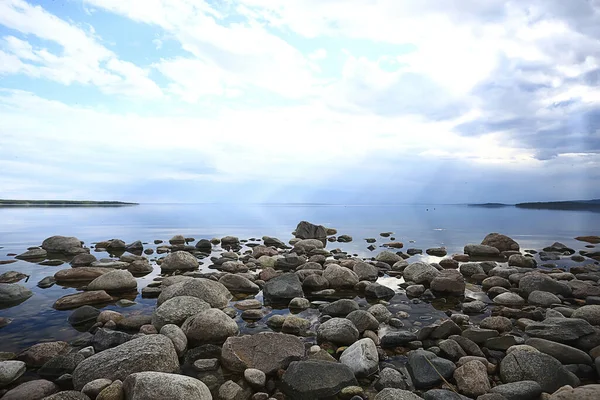 Meer Landschap Zomer Uitzicht Natuur Van Het Noorden Kust Ecologie — Stockfoto