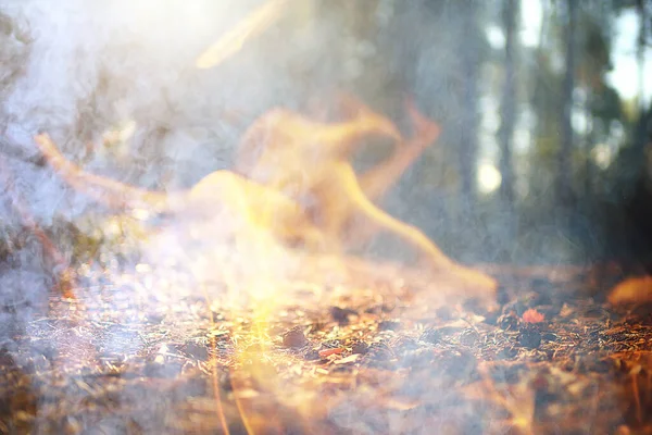 Абстрактный Ландшафтный Пожар Лесной Фон Экологическая Катастрофа — стоковое фото