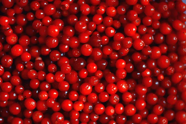 Textura Arándanos Rojos Bayas Frescas Vitaminas Del Norte Fondo Abstracto —  Fotos de Stock