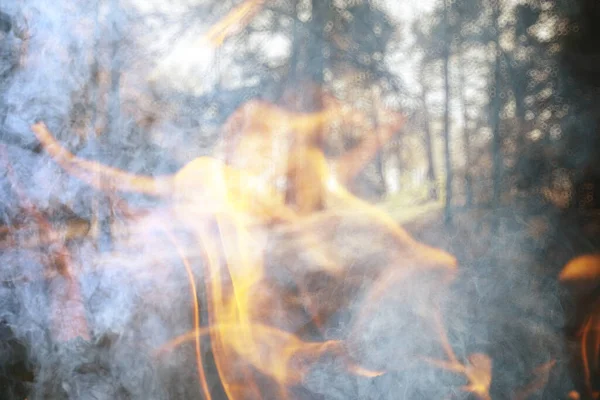 Αφηρημένο Τοπίο Φωτιά Φλόγα Στο Δάσος Άγρια Φωτιά Φόντο Οικολογική — Φωτογραφία Αρχείου
