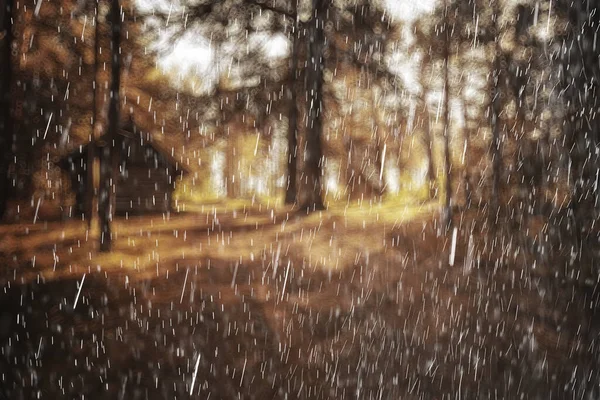 Ландшафт Осенний Дождь Капли Всплески Лесу Фоне Октябрь Погода Пейзаж — стоковое фото