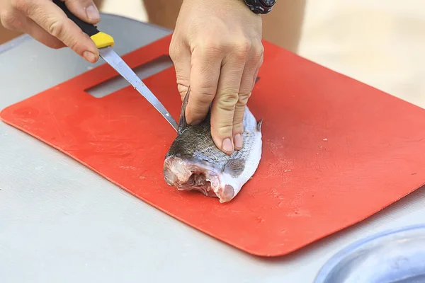 Cutting Grayling Fish Preparing Cleaning Wild Fish Siberian European Grayling — Stock Photo, Image