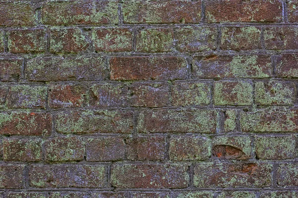 Stone Tile Cladding Background Abstract Blank Stone Wall — Stock Photo, Image