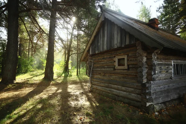 Venkovní Aktivity Turistika Rekreační Dům Borovém Lese Letní Krajina Slunečný — Stock fotografie