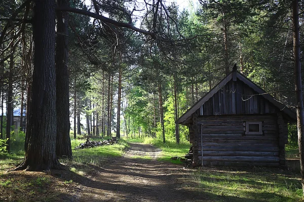 Venkovní Aktivity Turistika Rekreační Dům Borovém Lese Letní Krajina Slunečný — Stock fotografie