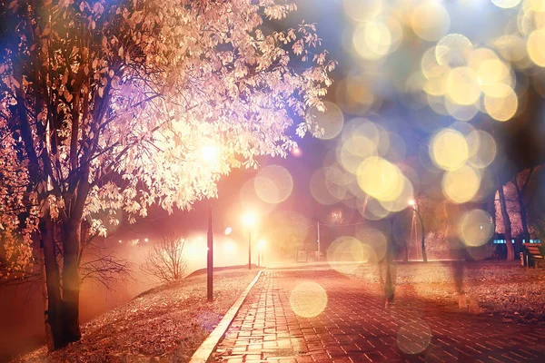 Ночь Парке Пейзаж Абстрактный Вид Аллею Деревья Огни Осенью Размытый — стоковое фото