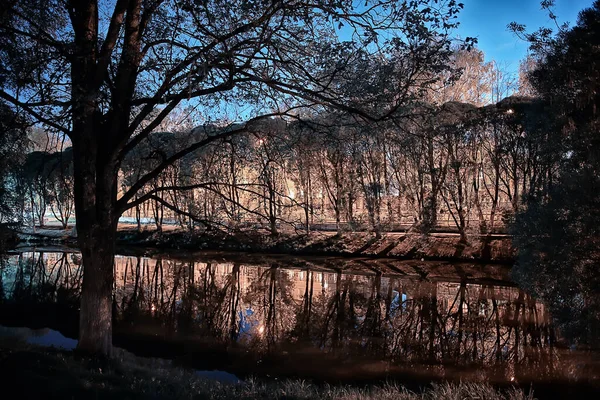 Nacht Het Park Landschap Abstract Uitzicht Steeg Bomen Lichten Herfst — Stockfoto