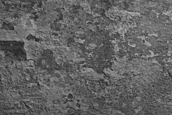 Gray Grunge Concrete Blank Wall Abstract Background Art Design — Stock Photo, Image