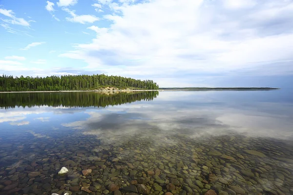 Jezero Krajina Letní Pohled Příroda Severu Pobřeží Ekologie — Stock fotografie