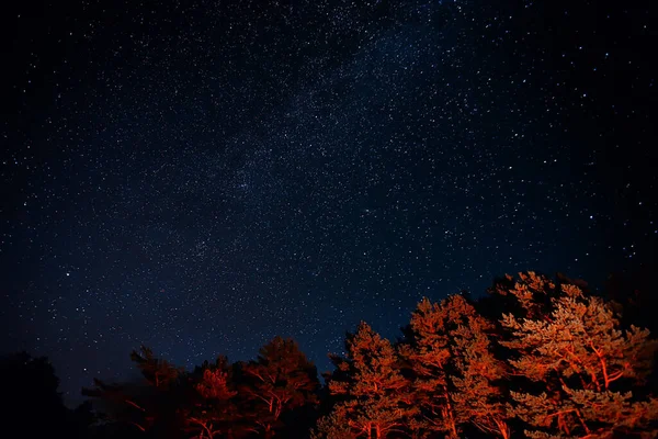 Cielo Nocturno Paisaje Abstracto Vista Verano Noche Concepto Naturaleza Espacio — Foto de Stock