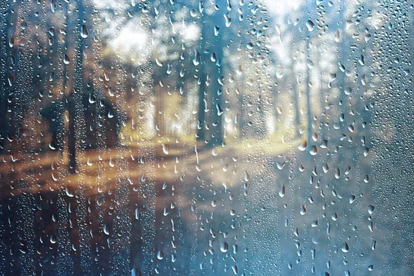 Paesaggio Autunno Pioggia Gocce Spruzzi Nello Sfondo Della Foresta Ottobre — Foto Stock