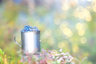 Ormanda demir bardakta yaban mersini, arka planda vitamin yürüyüşü, kuzey meyveleri Finlandiya 'da vahşi yaşam.