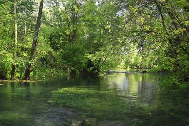 Sonbahar ormanlarındaki nehir, soyut manzara, küçük bir nehrin kıyısındaki ağaçlar.