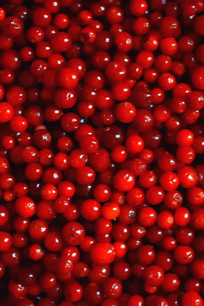 Textura Arándanos Rojos Bayas Frescas Vitaminas Del Norte Fondo Abstracto —  Fotos de Stock