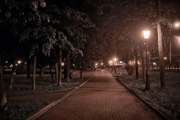 夜晚在公园的风景中 抽象地看到了小巷 树木和灯光在秋天模糊的背景 — 图库照片