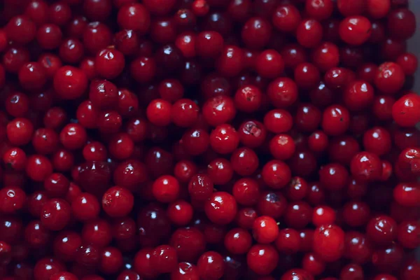 texture cranberries red berries fresh northern vitamins abstract background