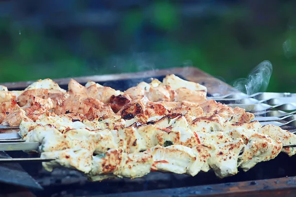 Barbecue Vlees Kolen Rook Gerookt Ijzeren Spiesen Vers Vlees Achtergrond — Stockfoto