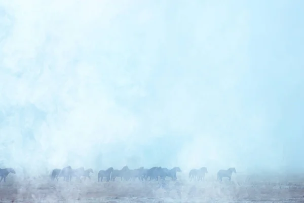 Abstrato Desfocado Fundo Inverno Cavalos Uma Paisagem Campo Nevado Neve — Fotografia de Stock