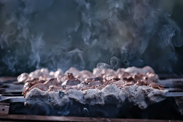 Carne Churrasco Carvão Fumaça Fumada Espetos Ferro Fundo Carne Fresca — Fotografia de Stock