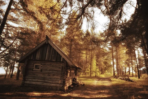 Buitenactiviteiten Toerisme Vakantiehuis Een Dennenbos Zomerlandschap Zonnige Dag Natuur Noord — Stockfoto