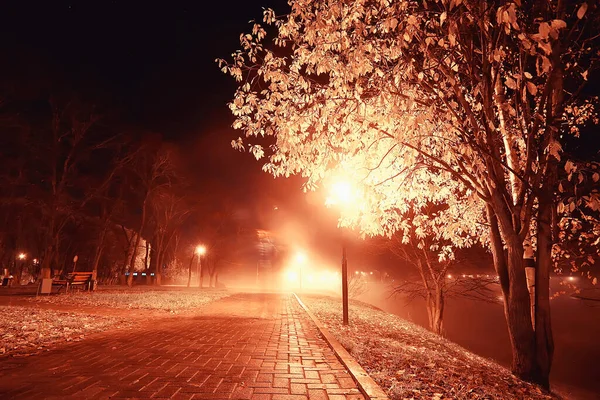 Noc Parku Krajobraz Abstrakcyjny Widok Aleję Drzewa Światła Jesiennym Rozmytym — Zdjęcie stockowe