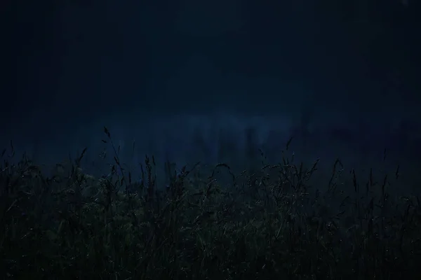 Ночное Небо Пейзаж Абстрактный Вид Летняя Ночь Концепция Пространства Природы — стоковое фото