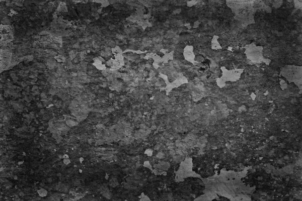 Gris Estuco Grunge Pared Fondo Abstracto Gris Pared Blanco —  Fotos de Stock